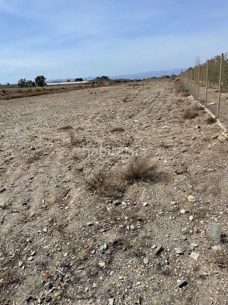 Foto c132675c-a1ad-47ba-bf78-5e61c1fc1c29. Finca rústica terreno rústico en venta en huércalovera. en Huércal - Overa