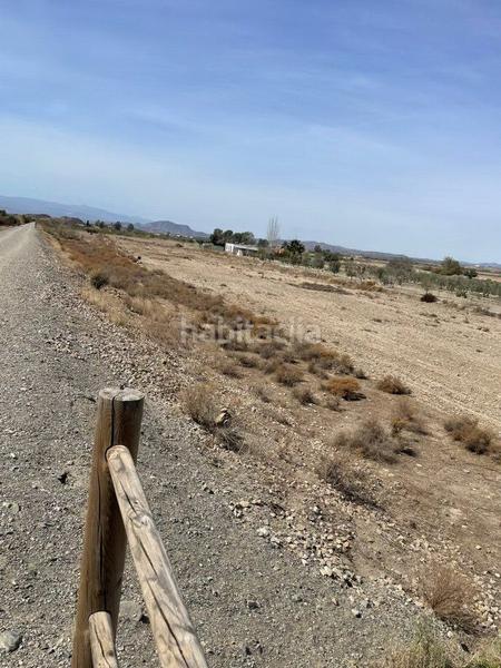 Foto f2cf780a-84ab-4041-999c-88d752653390. Finca rústica terreno rústico en venta en huércalovera. en Huércal - Overa