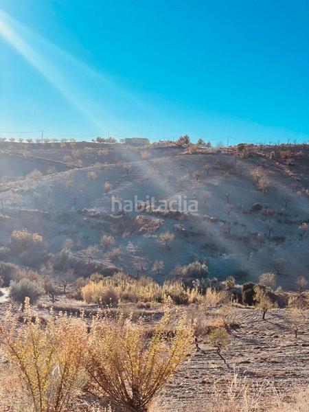 Foto 02fba590-82da-459e-8a63-67ffc119f693. Mas avec parking dans Torrecilla Lorca