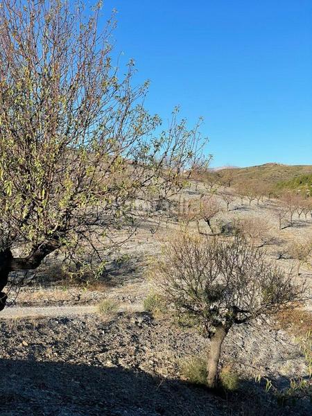 Foto 0b89aa3b-83f4-42b7-987d-76ca29ecf650. Mas avec parking dans Torrecilla Lorca