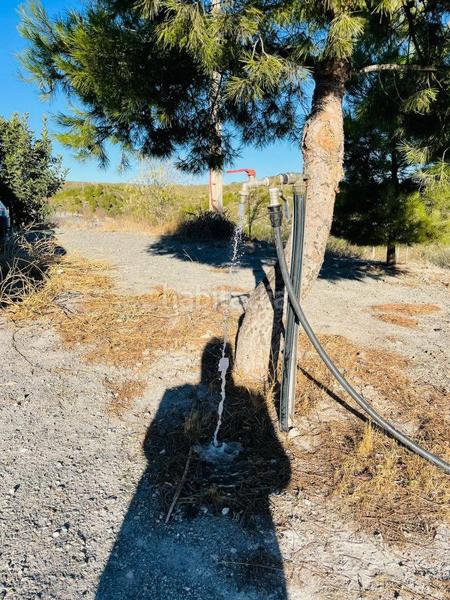 Foto 1d7be3a2-5f2d-42f9-b1b5-e38aba443694. Mas avec parking dans Torrecilla Lorca