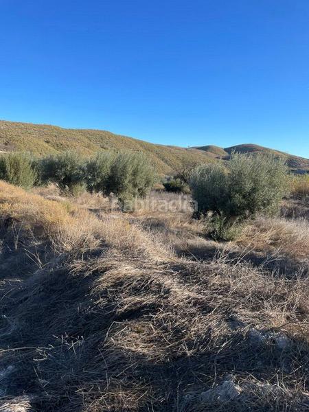 Foto 51129d53-afb0-482f-8825-7fe79f1c8c8a. Mas avec parking dans Torrecilla Lorca