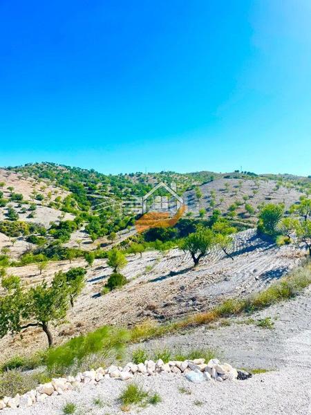 Foto 5898f51d-d14d-4208-bc71-0f0cbc37496e. Mas avec parking dans Torrecilla Lorca