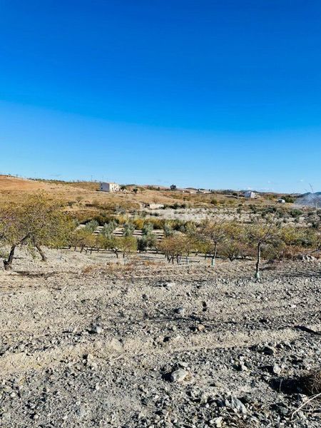 Foto 20729968-9bf9-4479-a0dc-c7de8a742ec2. Finca rústica a Puerto Lumbreras