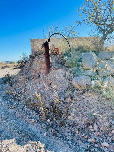 Foto 24cec3f1-731d-41e7-aef0-0e3faae895dd. Finca rústica a Puerto Lumbreras