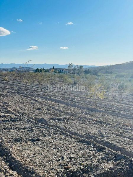 Foto 3ee4c61e-70f1-4cbc-92d5-137991ed44af. Finca rústica a Puerto Lumbreras