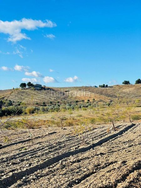 Foto 94497288-346d-4158-bbff-e7cfe4d98e5f. Finca rústica a Puerto Lumbreras