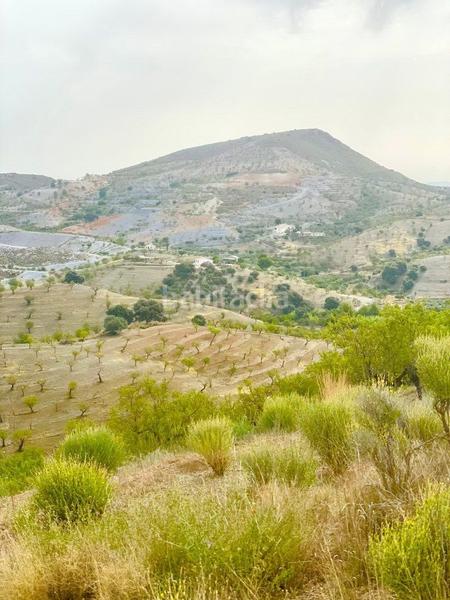 Foto 7c3bc5b1-bc9a-4013-b78b-cfd1a283ff69. Finca rústica a Puerto Lumbreras