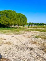 Finca rústica a Ceutí. Terreno urbano en venta en ceuti.