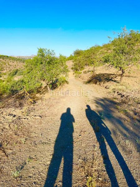 Foto be341a37-790f-4b81-9188-f449dfa1d2e8. Masía casa rural en venta en vélezrubio, 2 dormitorios. en Vélez - Rubio