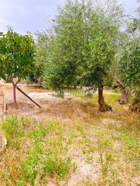 Foto cc4785c0-505c-42cd-82fe-49731d8dbae5. Masía casa rural en venta en vélezrubio, 2 dormitorios. en Vélez - Rubio