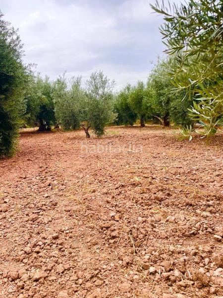 Foto f8673c62-3504-45af-b671-3b8f348783ee. Masía casa rural en venta en vélezrubio, 2 dormitorios. en Vélez - Rubio
