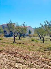 Terreny residencial a Vélez - Rubio. Terreno rústico en venta en vélezrubio.
