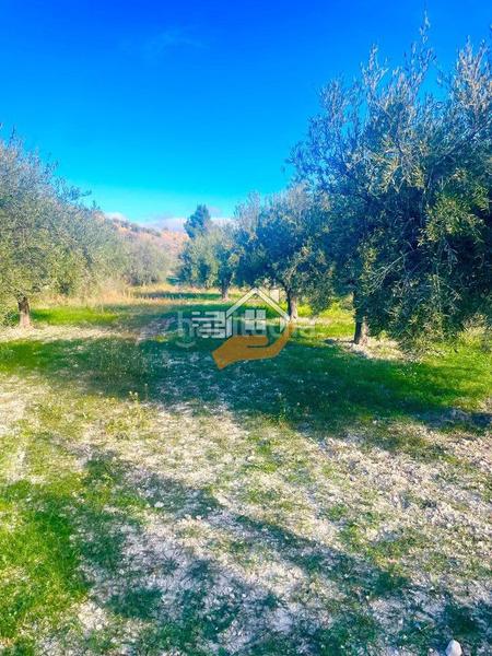 Foto 232dc927-916e-41ff-8771-1d0dea39f7a4. Wohngrundstück in Vélez - Blanco