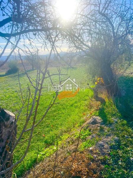 Foto aa677bfe-d955-48f1-a6f8-6978d65c5632. Wohngrundstück in Vélez - Blanco