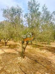 Wohngrundstück in Abanilla. Terreno en venta en macisvenda.