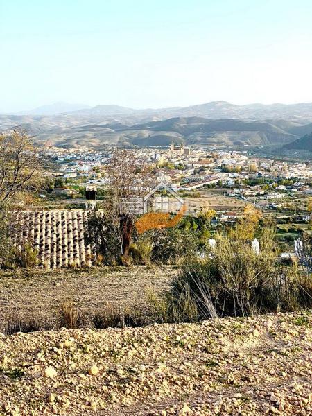 Foto 11b8a12b-ea89-401c-acf8-47cc7c77d219. Terreno residencial terreno en venta en vélezrubio. en Vélez - Rubio