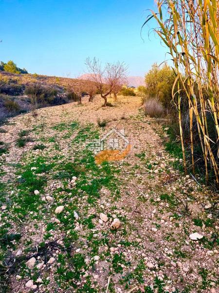 Foto 2c1c66aa-f91c-4d47-a7d6-c6ce036ac567. Terreno residencial terreno en venta en vélezrubio. en Vélez - Rubio