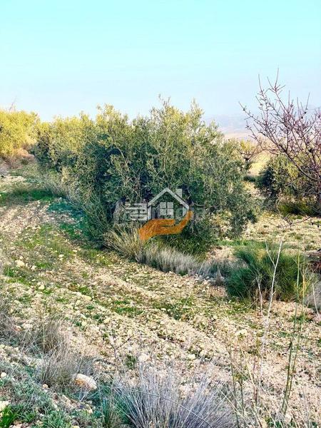 Foto 48fe800b-dd77-4b4d-a2b8-8c4bf5bb8a6a. Terreno residencial terreno en venta en vélezrubio. en Vélez - Rubio