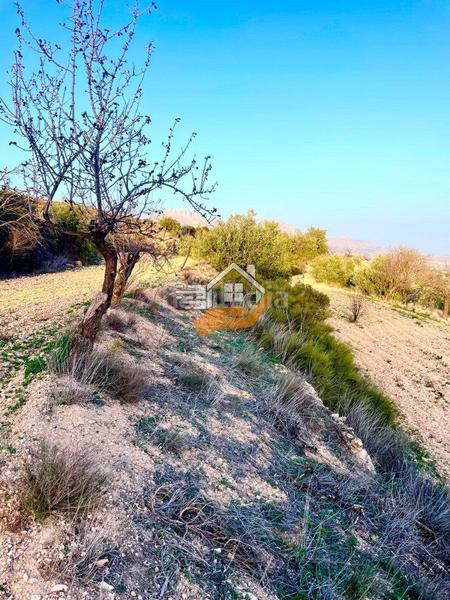 Foto 5b323efb-9567-4ce7-903b-227351d6a1f1. Terreno residencial terreno en venta en vélezrubio. en Vélez - Rubio