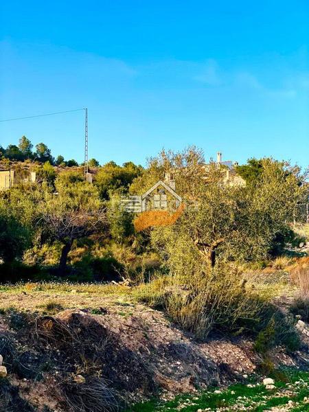 Foto 7d5c8d84-9d1e-4d91-91cc-e892db7e088d. Terreno residencial terreno en venta en vélezrubio. en Vélez - Rubio