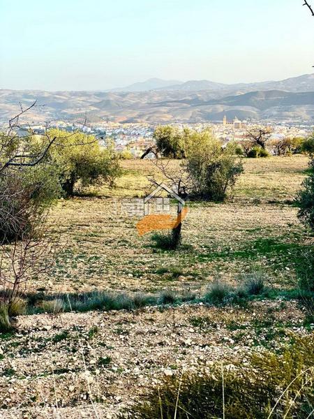 Foto b887771d-340f-4d32-8303-fecb109c12a2. Terreno residencial terreno en venta en vélezrubio. en Vélez - Rubio