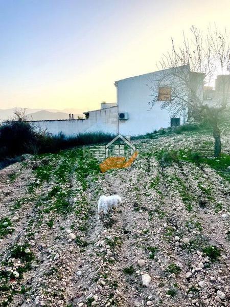 Foto f295cfda-0b93-4217-9f4e-b6378bc8f82d. Terreno residencial terreno en venta en vélezrubio. en Vélez - Rubio