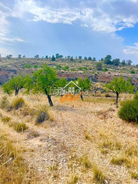 Foto 1d679808-b8b0-4931-9870-03bb8b544eb2. Casa amb aparcament a Abanilla