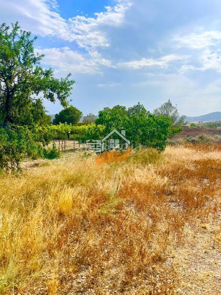 Foto 2291cd38-30cd-48ca-ba13-207e2de4520e. Casa amb aparcament a Abanilla