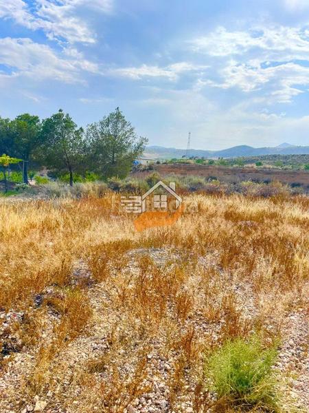 Foto d6e19377-d959-475a-8bb1-7f34bc455cec. Casa amb aparcament a Abanilla