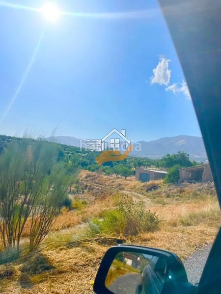 Foto 5e93b875-0058-4b4d-8be7-ff8274294bc5. Terreno residencial terreno rústico en venta en vélezrubio. en Vélez - Rubio