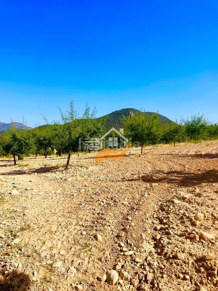 Foto 67229f14-1c8c-4418-b8cd-c47b2d0385f4. Terreno residencial terreno rústico en venta en vélezrubio. en Vélez - Rubio