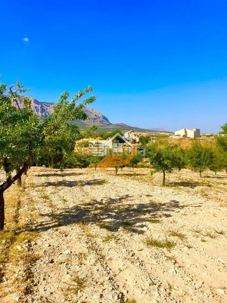 Foto 98d21244-23ff-42fa-be63-8780caf58aed. Terreno residencial terreno rústico en venta en vélezrubio. en Vélez - Rubio