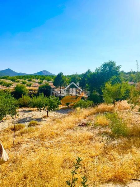 Foto c7543025-93ee-4838-b29d-a89d0947e88c. Terreno residencial terreno rústico en venta en vélezrubio. en Vélez - Rubio