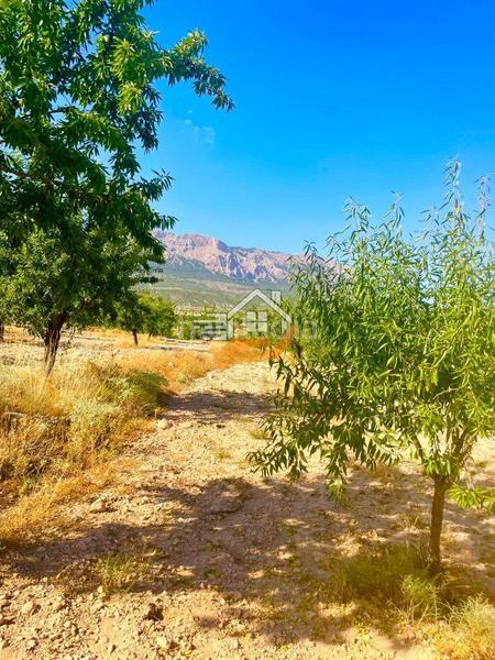 Foto f61b4bd8-9d39-409e-8d13-ca21d0fc9b21. Terreno residencial terreno rústico en venta en vélezrubio. en Vélez - Rubio