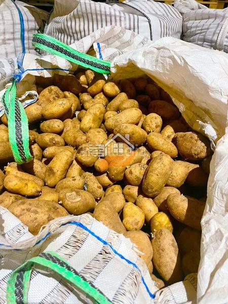 Foto 82855990-ab80-4578-9eb8-68846db37ca4. Bâtiment à usage industriel dans Vélez - Rubio