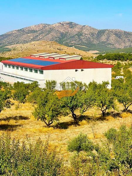 Foto 87120adc-af46-417e-9d01-11f525090c80. Bâtiment à usage industriel dans Vélez - Rubio