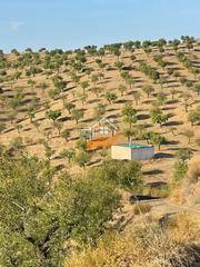 Masia a Vélez - Rubio. Finca rúst. en venta en vélezrubio.