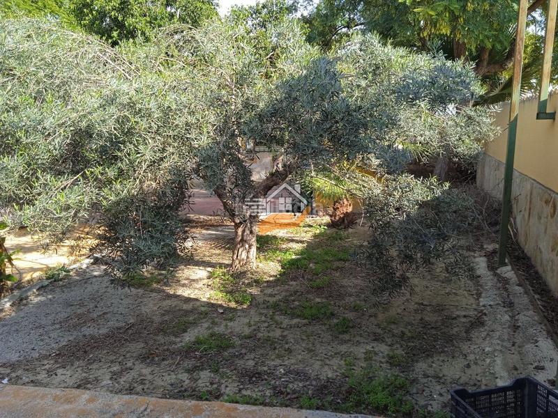 Foto a20814b9-c25d-4922-b148-3db46a5f14fc. Xalet amb aparcament a Torreagüera Murcia