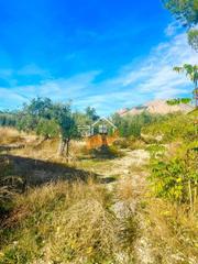 Bauernhof in Vélez - Rubio. Finca rúst. en venta en vélezrubio.