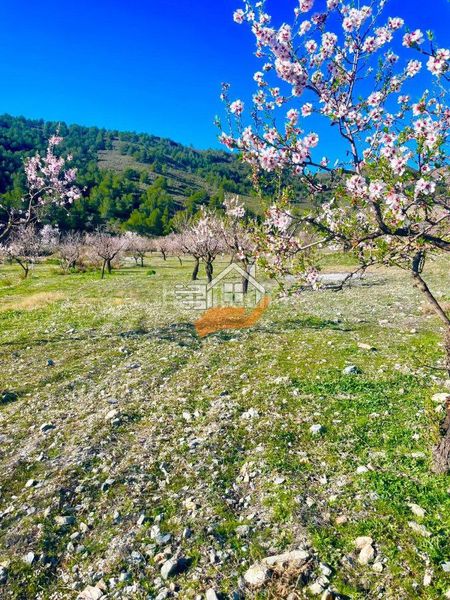 Foto 0e3abdba-ed68-4772-aead-9307ddba9587. Masia a Vélez - Rubio