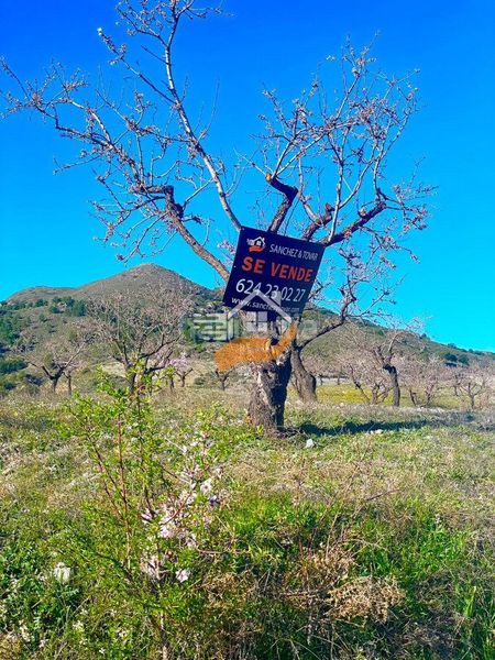 Foto 48cfe7d7-e6f6-44ca-af4f-369c19cac638. Masia a Vélez - Rubio