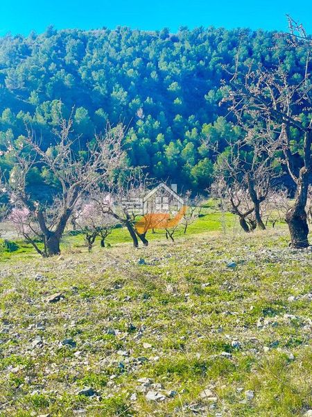Foto 73213ce5-d3e3-4969-b42d-e153a554455e. Masia a Vélez - Rubio