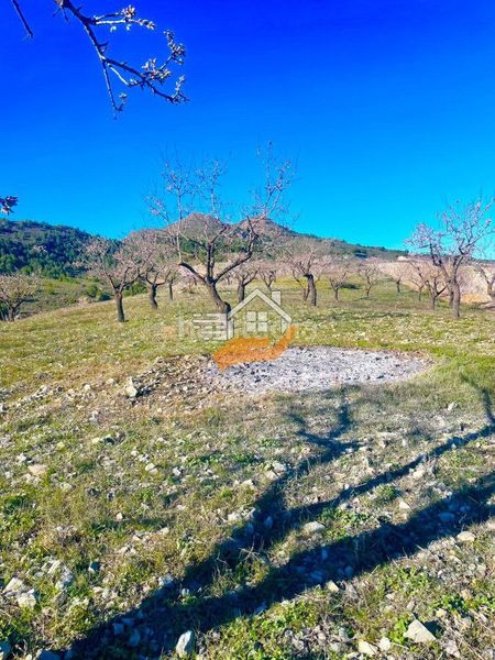 Foto b3d51858-0aa5-4080-baa8-281f6b6985d1. Masia a Vélez - Rubio