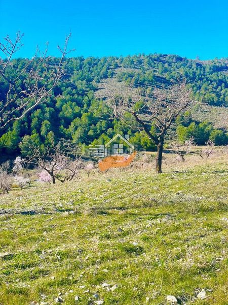 Foto b832575a-2cc5-4b5f-a1c6-6e3c437ef0f4. Masia a Vélez - Rubio