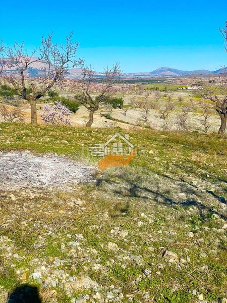 Foto b8dd834f-6c8a-4108-891b-2c6a4e0c5091. Masia a Vélez - Rubio