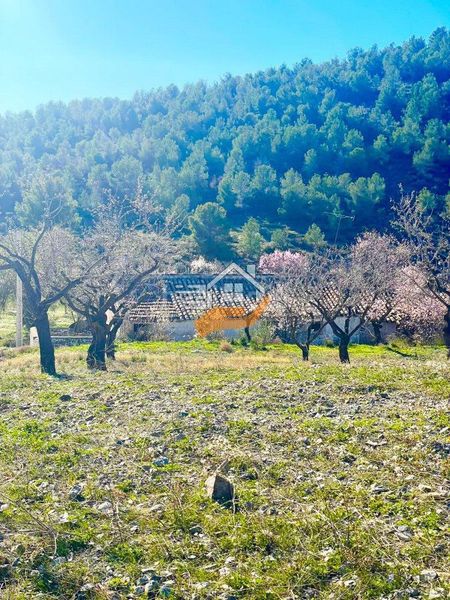 Foto cfd56a36-7716-4f85-9d38-2c72ec967dcb. Masia a Vélez - Rubio