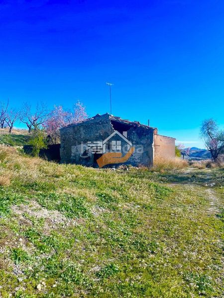 Foto d4355264-6ae7-4b05-b8a0-054a14f5ff42. Masia a Vélez - Rubio