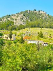 Masia a Vélez - Rubio. Finca rúst. en venta en vélezrubio, 5 dormitorios.