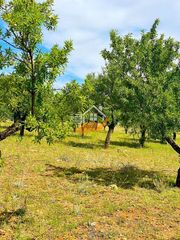 Masia a Vélez - Rubio. Finca rúst. en venta en vélezrubio.